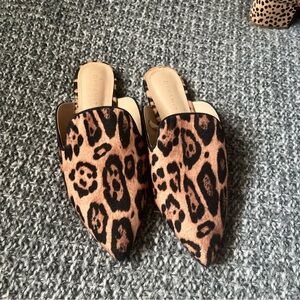 DYNAMITE cheetah mule Never Worn
